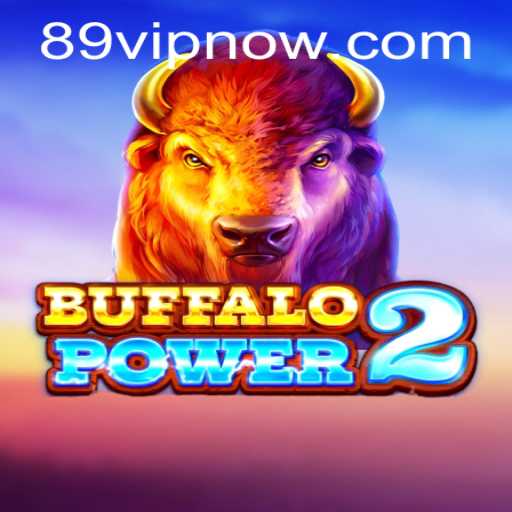 An In-Depth Look at BuffaloPower2 and the 89VIP Experience